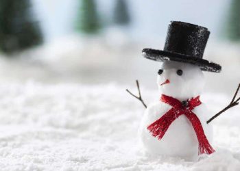 Sivas İl genelinde  yarın okullar tatil edildi.